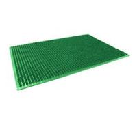 Paris Prix Tapis d'Entrée Vert