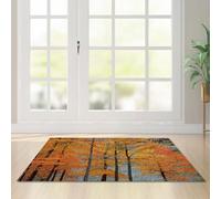 Tapis D'entrée Orange Gris Tapis Salon Couloir Antidérapant Paillasson Extérieur Polyester Paillasson Exterieur Interieur Rug Salon Chambre Lavable 80x120cm