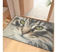 Tapis D'entrée Tapis Couloir Entree Interieur Paillasson Exterieur Rug | Doux Durable Polyester Lavable en Machine Entrée Absorbant Anti-Mud Anti-fouling Antidérapant,Cat Vert Gris 40x60cm
