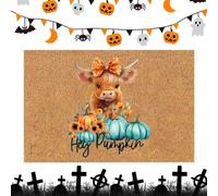 Tapis d'extérieur antidérapant à séchage rapide pour Halloween | Paillasson de bienvenue pour la maison, la salle de bain, la cuisine, la chambre à coucher, l'entrée extérieure