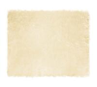 Tapis en fausse peau de mouton - vidaXL - 200x280 cm - Crème - Polyester - Super doux - Durable - Sensation chaude