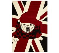 Tapis enfant 60x110 rectangle tissé rouge motif animaux LYN49 LONDDOG