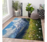 Tapis lavables à la Machine 60x90 Tapis de décors naturels | Snow Mountain Flower Field Tapis intérieur antidérapant poils faibles imprimés salon chambre salle manger moyenne