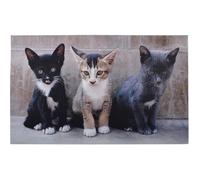 Tapis paillasson imprimé chats - ESSCHERT DESIGN - Rectangulaire - Gris - 75 x 45 cm
