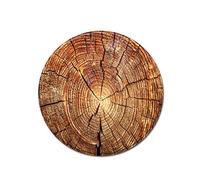 Tapis Rond Lavable en Machine, Interieur Anti Slip Chambre à Coucher Salon Tapis d'Entrée Absorbant Antidérapant - Motif d'arbre à Grain de Bois 3D (Anneau annuel 3D,100cm)