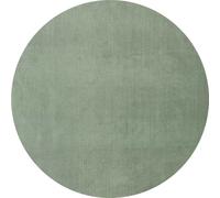 Tapis rond salon Ø200cm LYN10 LAVABLE Vert Clair uni, tapis shaggy à longs poils