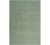 Tapis salle à manger 240x340 LYN10 LAVABLE Vert Clair uni, tapis shaggy à longs poils