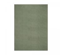 Tapis salle à manger 240x340 LYN10 LAVABLE Vert uni, tapis shaggy à longs poils