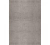Tapis salle de bain 60x110 LYN10 LAVABLE Argent uni, tapis shaggy à longs poils