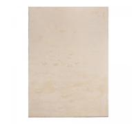 Tapis salle de bain 60x110 LYN10 LAVABLE Beige uni, tapis shaggy à longs poils