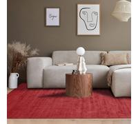 Tapis salon 60x110 rouge