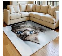 Tapis Salon 80 x 120 cm Chat Lavable en Machine Brun Tapis Chambre Doux Grand Salon Antidérapant