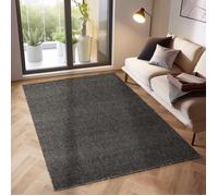 Tapis Salon Moderne - Amandine - Anthracite - 280 x 370 cm - 100% Polypropylène - Simpex