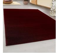 Tapis Salon Moderne - Azalée - Rouge - 280 x 370 cm - 100% Polypropylène - SIMPEX