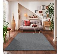 Carpettex Tapis à Poil Court uni pour Le Salon, Super Doux, Disponible en différentes Couleurs et Tailles., Couleur: Gris, Taille: 200 x 290 cm