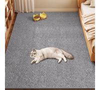 Tapis Salon Rug Lavable en Machine Tapis intérieur Chambre Antidérapant | Facile à Nettoyer,Chambre Adulte,Descente de Lit Carpets,Salle a Manger,Bureau,Interieur Carpet, 6mm(Gray,80x200cm)