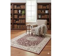 Tapis Salon - sans Poils Peluche - Antidérapant Dos à Picots (Dots) - Chambre, Salon, Salle à Manger, Bureau - Rouge - 120x160 cm