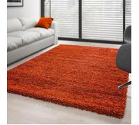 Tapis Salon Shaggy - CARPETTEX - Terra - 80 x 250 cm - 100% Polypropylène