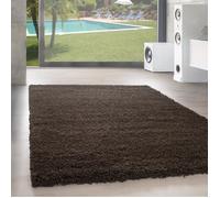 Tapis Salon Shaggy - MARION - Marron - 300 x 400 cm - 100% Polypropylène - SIMPEX
