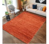 Tapis Salon Shaggy - Mylan - Terra - 140 x 200 cm - 100% Polypropylène - CARPETTEX