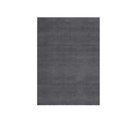Tapis Shaggy Doux Lavable Carpette de Salle de Séjour Tapis de Zone Moquette de Salon Tapis de Sol Intérieur 160x230 cm Antidérapant Anthracite