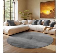 SIMPEX Tapis Rond Gris 200 cm Tapis à Poils Courts Lavable, Rond, Doucement Antidérapant et Design Monochrome Moderne pour Salon, Chambre, Cuisine et Chambre d'enfant