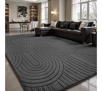 Tapis Sour Lemon pour salon 240x300cm, tapis semi-circulaire 3D gris pour chambre à coucher, tapis extra grand pour salon, tapis à poils courts antidérapant lavable à la machine pour chambre d’enfant