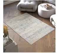 tectake® Tapis Salon Vintage Tapis Chambre, Salle à Manger, Antidérapant & Lavable 120x170cm, Poils Ras idéal Décoration Salon, Bureau, Decoration Chambre, Cuisine, Dressing, Descente de lit
