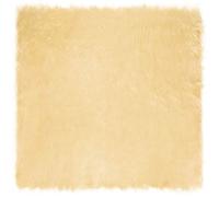 Tapis - VIDAXL - Tafalla - Carré 160x160 cm - Polyester - Crème