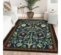 Tapis Vintage Design pour Salon 200x300 Tapis lavables Machine Chambre Traditionnel Poil Bas botanique Oiseaux Mignons antidérapant Cuisine Bureau décoration intérieur Vert