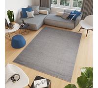 TAPISO Noyan Kanuni Tapis Poils Courts Uni Argent 120 x 170 cm | 100% Polypropylène, hauteur de poils 11 mm, tufté
