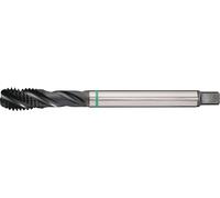 Taraud machine DIN 5156C Univ.G 1/4 Zollx19 HSS-Co vap.ISO 228 TECWERK