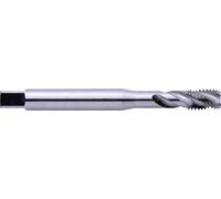 Taraud pour machine Eventus by Exact 1610355 métrique M8 coupe à droite N/A HSS 1 pc(s)
