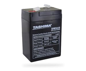 TASHIMA - Batterie Motoculture TASHIMA - 6V - 4,5A - Pour Lampe Rechargeable - Durable - Entretien Facile - Batterie Gel - 70 x 48 x 106mm