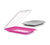 TATAY Boîtes a Charcuterie Fresh | Ensemble de 4 Standard | Boite Jambon Conservation Frigo, Empilable | Passe au Congélateur, Micro-ondes et Lave-vaisselles | Sans BPA, 17x3,2x25,2cm, Fuchsia et gris