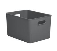 TATAY Paniers et Boîtes de Rangement Plastique 22 L Baobab | Boîte Organisatrice | Poignées Intégrées | Design Compact et Polyvalent | Plastique Sans BPA | 29,4 x 38,5 x 23 cm, Gris