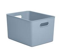 TATAY Paniers et Boîtes de Rangement Plastique 22 L Baobab | Boîte Organisatrice | Poignées Intégrées | Design Compact et Polyvalent | Plastique Sans BPA | 29,4 x 38,5 x 23 cm, Bleu