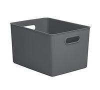 TATAY Paniers et Boîtes de Rangement Plastique 22 L Baobab | Boîte Organisatrice | Poignées Intégrées | Design Compact et Polyvalent | Plastique Sans BPA | 29,4 x 38,5 x 23 cm, Gris