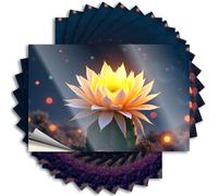 Tattoos Van Autocollants muraux imperméables avec fleur de cactus phosphorescente dans un jardin mystique pour bouteille d'eau | Décalques en vinyle bon marché pour cadeau de vacances sur terre (8 x