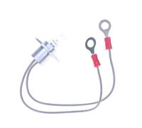 TAZIZI Ampoule halogène 12 V 20 W avec filament C-6 | Assemblage d'ampoule à filament C-6, deux fils terminaux, structure transparente pour un service courant de source lumineuse