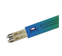 TBE Lighting Ampoules fluorescentes T5 8 W 288 mm - Ampoules CFL - Raccords de base G5 à 2 broches - Lampes T5 haute efficacité, lumière du jour blanche 6500 K