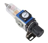 Tbest Régulateur d'air avec Jauge 10Cc, Tasse Autobloquante, Conception équilibrée en Alliage d'aluminium Gfr200-06 Pt1/8 pour Systèmes Comprimés (GFR200-06)