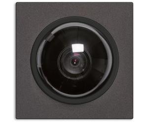 TCS Module de caméra dôme encastré série AMI, noir AMI10620-0057