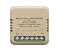 TDCuizent Matter Smart Switch Module WiFi pour télécommande compatible TUYA Relais double contrôle automatisation avec mémoire hors tension Prend en charge Homekit pour Alexa pour Smartthings Fil