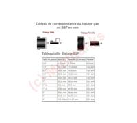 Té 90° avec dérivation taraudée PE Compression Codital Ø32-3/4" de Codital - Raccord PE compression