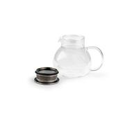 - TEAMASTER - Théière 500 ml simple paroi