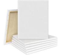 Tebery Lot de 10 toiles de 30 x 40 cm en 100% coton blanc pour peinture acrylique et peinture à l'huile ainsi que le dessin