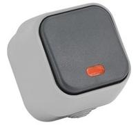 TechBrey Bouton-poussoir Simple avec Voyant Lumineux IP54 Gris Gris G