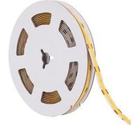 LEDKIA LIGHTING Ruban LED 12V COB 320 LED/m 5m 10W/m 1000lm/m Largeur 8mm Coupe 2.5cm IP20 CRI90 2200K Super chaud