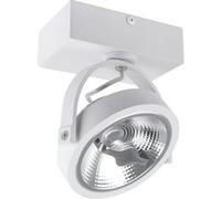 Spot LED 15W CREE en Saillie Orientable AR111 Dimmable Blanc 4000K Blanc n